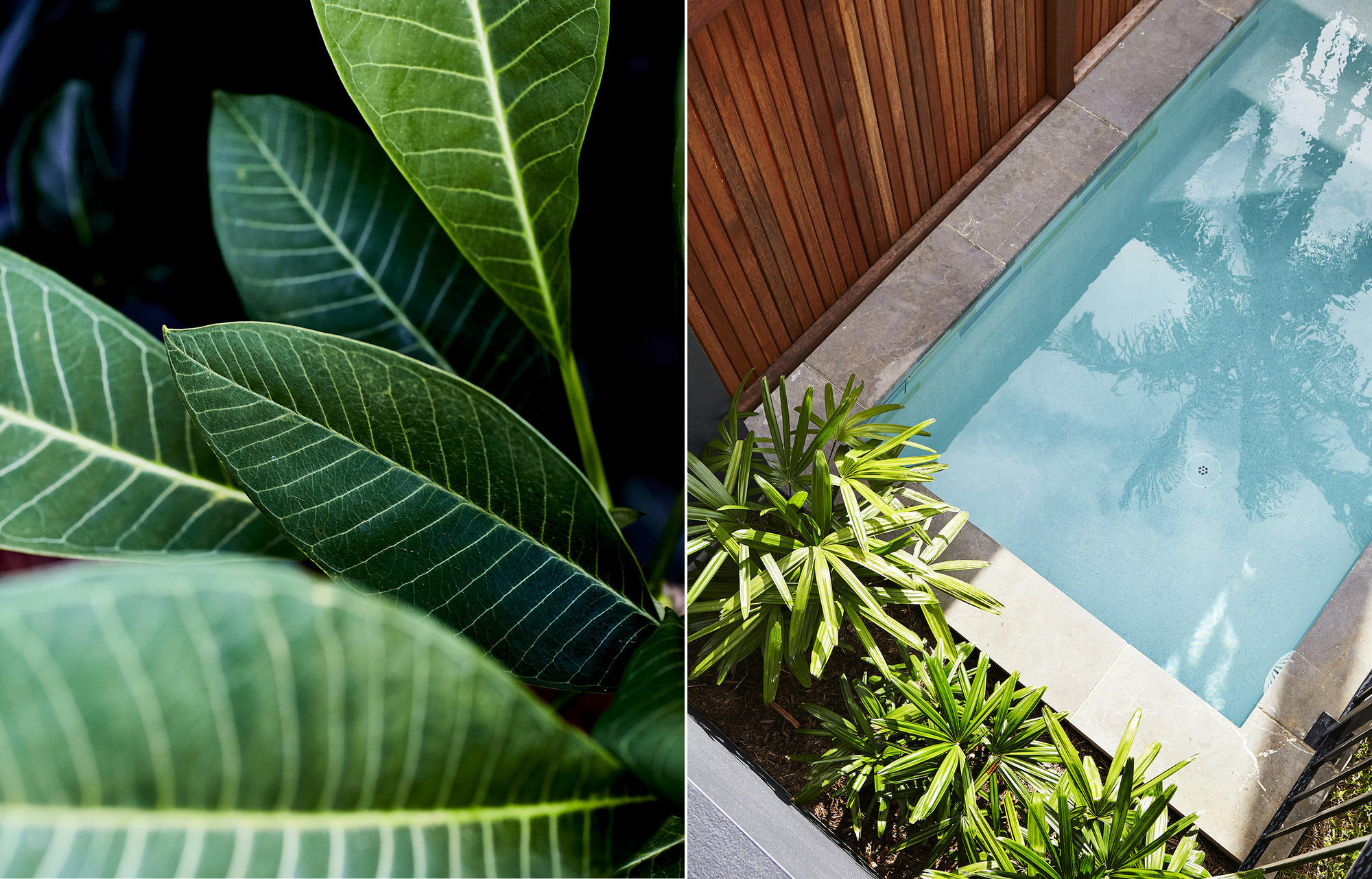 Hotel 28 Degrees Byron Bay - Adults Only Exterior foto