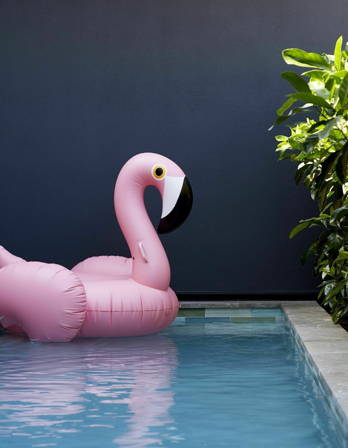 Hotel 28 Degrees Byron Bay - Adults Only Exterior foto